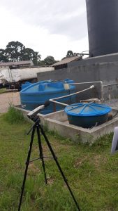 WhatsApp Image 2022-03-04 at 15.29.48(1)